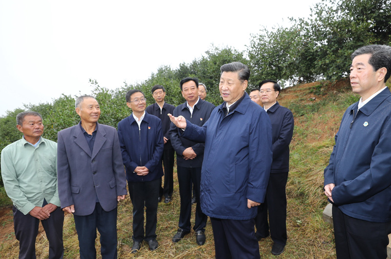 　　9月16日至18日，中共中央總書記、國家主席、中央軍委主席習近平在河南考察。這是17日上午，習近平來到信陽市光山縣槐店鄉司馬光油茶園，同正在勞作的村民和管理人員交流。 新華社記者 鞠鵬 攝